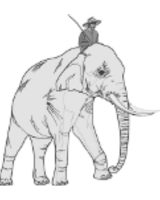 ElephantRider picture